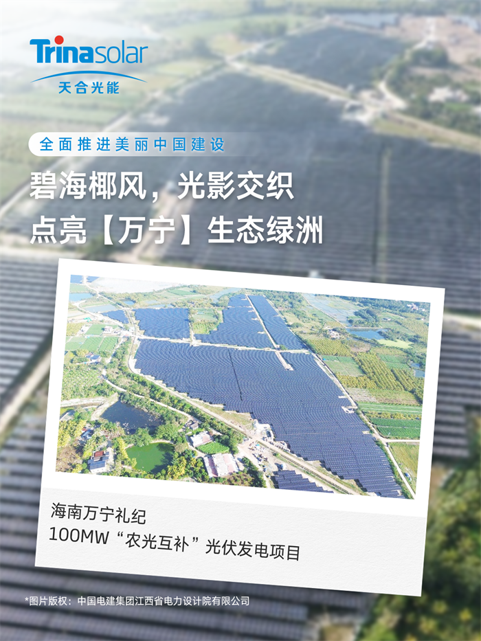 乐投·LETOU(中文)体育官方网站